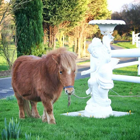 Hotel Arradale House