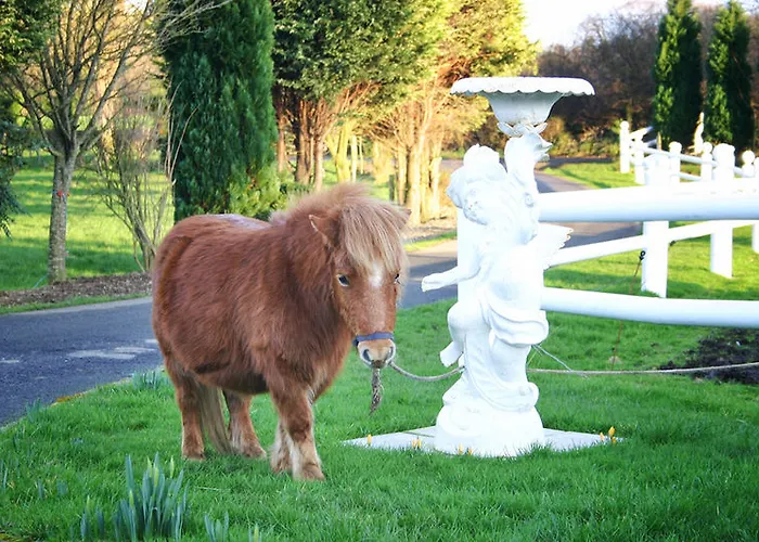 Hotel Arradale House